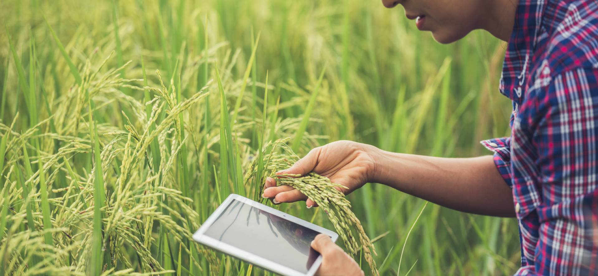 ruralresearchcentertrust