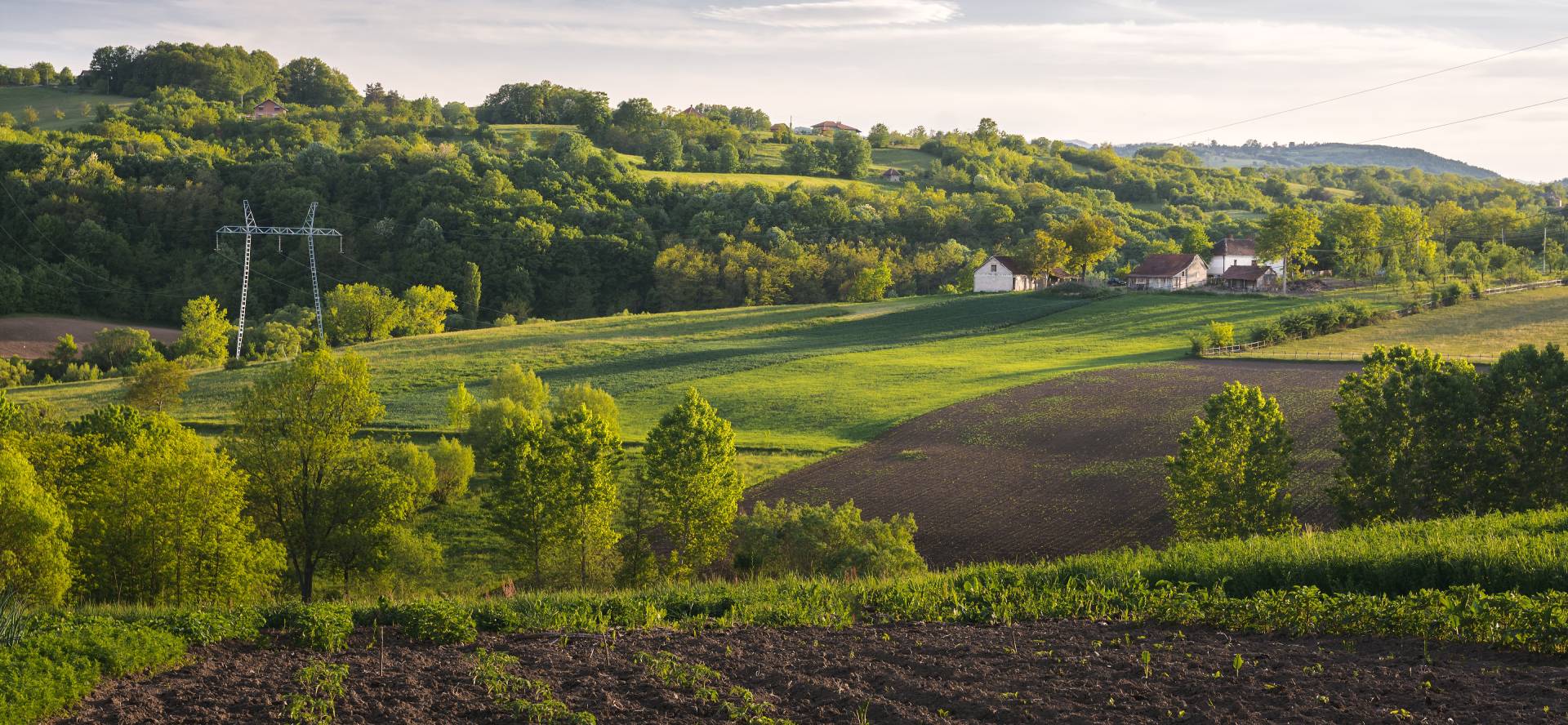 ruralresearchcentertrust