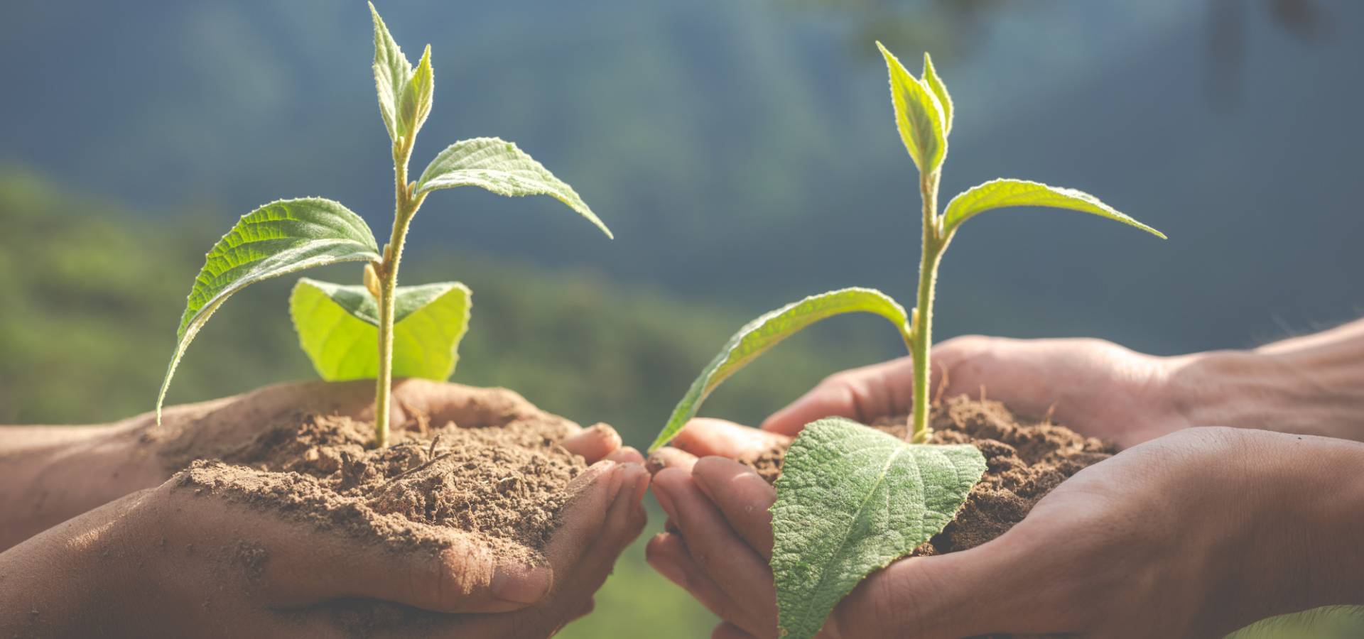 ruralresearchcentertrust